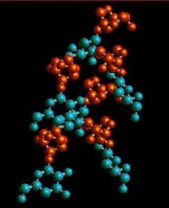 Разделение фрагментов ДНК