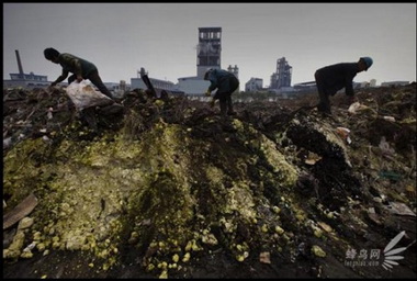 В Перми скопились тонны химически опасных отходов